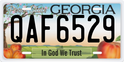 GA license plate QAF6529