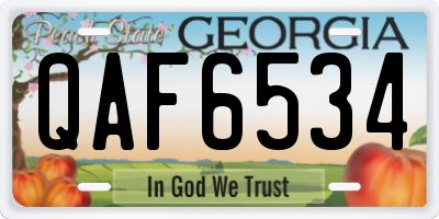 GA license plate QAF6534