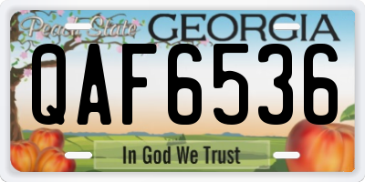 GA license plate QAF6536