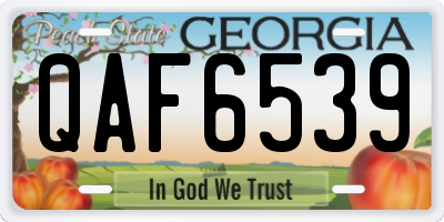 GA license plate QAF6539