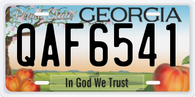 GA license plate QAF6541