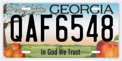 GA license plate QAF6548