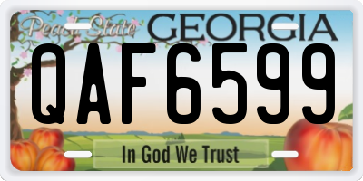 GA license plate QAF6599