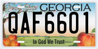 GA license plate QAF6601