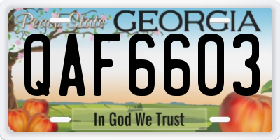 GA license plate QAF6603