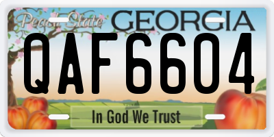 GA license plate QAF6604