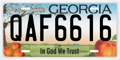 GA license plate QAF6616