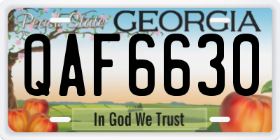 GA license plate QAF6630