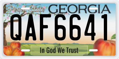 GA license plate QAF6641