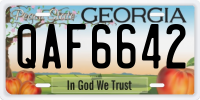 GA license plate QAF6642