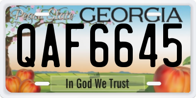 GA license plate QAF6645