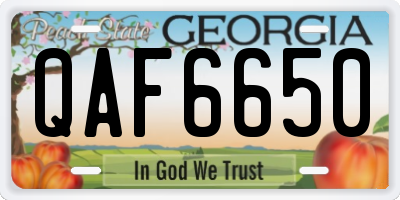 GA license plate QAF6650
