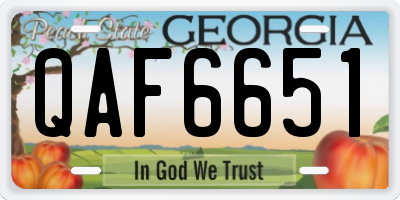 GA license plate QAF6651
