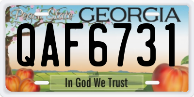 GA license plate QAF6731
