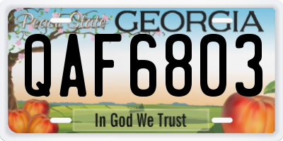GA license plate QAF6803