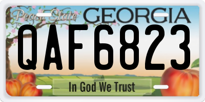 GA license plate QAF6823