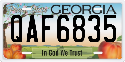 GA license plate QAF6835