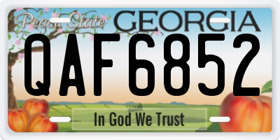 GA license plate QAF6852