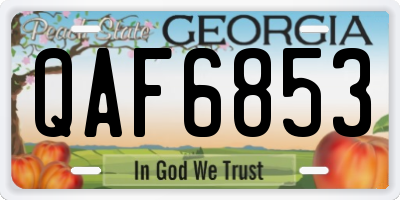 GA license plate QAF6853