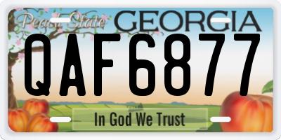 GA license plate QAF6877