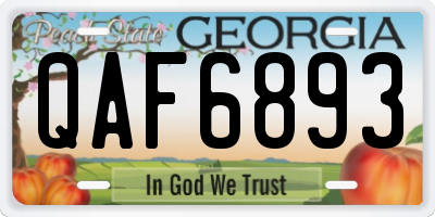 GA license plate QAF6893