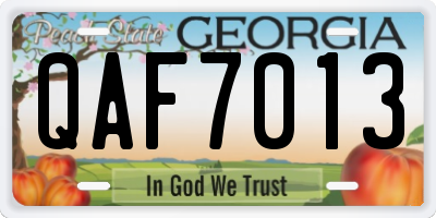 GA license plate QAF7013