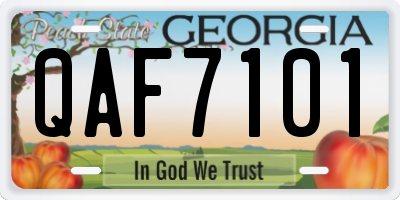 GA license plate QAF7101