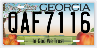 GA license plate QAF7116