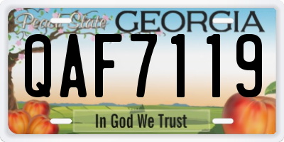 GA license plate QAF7119