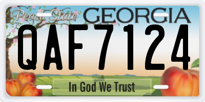 GA license plate QAF7124