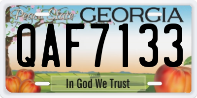 GA license plate QAF7133
