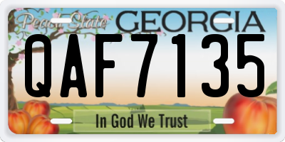 GA license plate QAF7135
