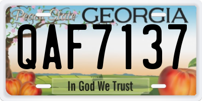 GA license plate QAF7137