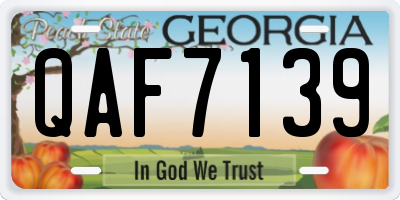 GA license plate QAF7139