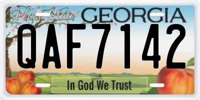 GA license plate QAF7142
