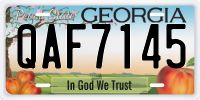 GA license plate QAF7145