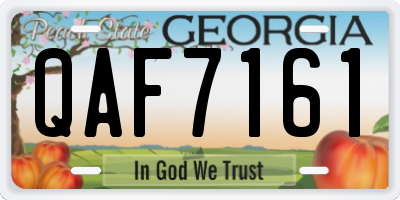 GA license plate QAF7161