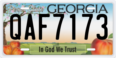 GA license plate QAF7173