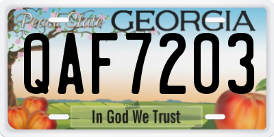 GA license plate QAF7203