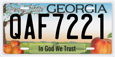 GA license plate QAF7221