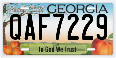 GA license plate QAF7229