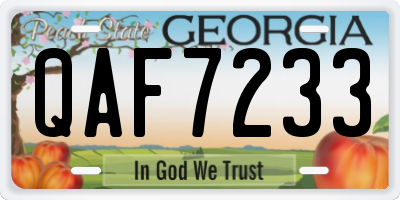 GA license plate QAF7233