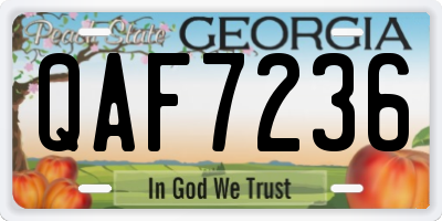 GA license plate QAF7236