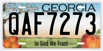 GA license plate QAF7273