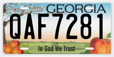 GA license plate QAF7281