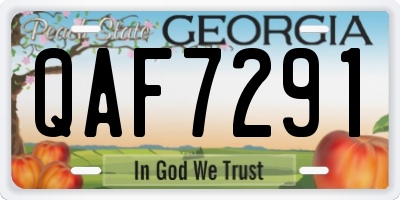 GA license plate QAF7291