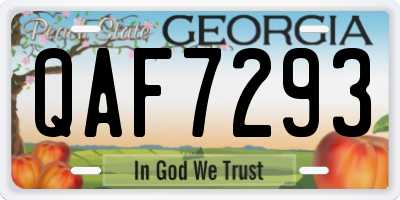 GA license plate QAF7293