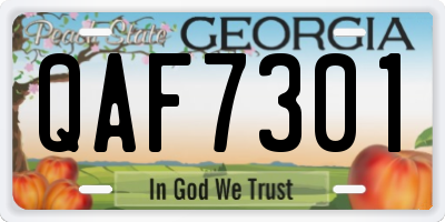 GA license plate QAF7301