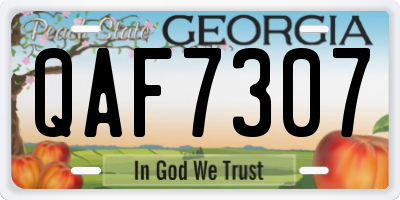 GA license plate QAF7307
