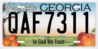 GA license plate QAF7311